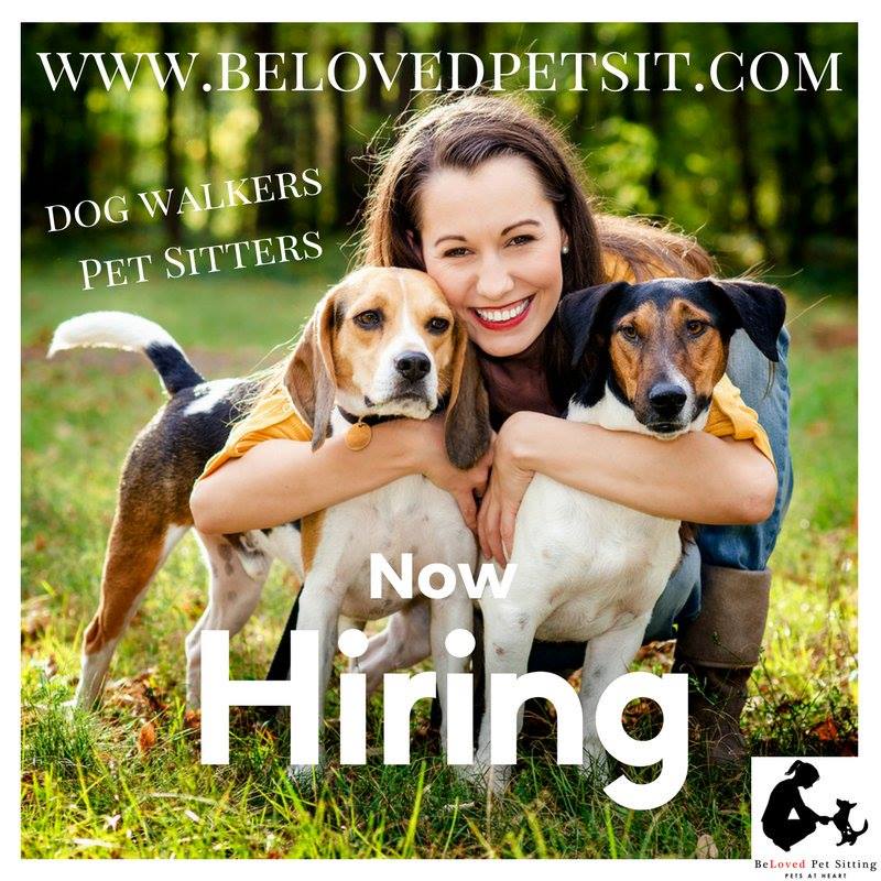 Pet Sitter Hiring